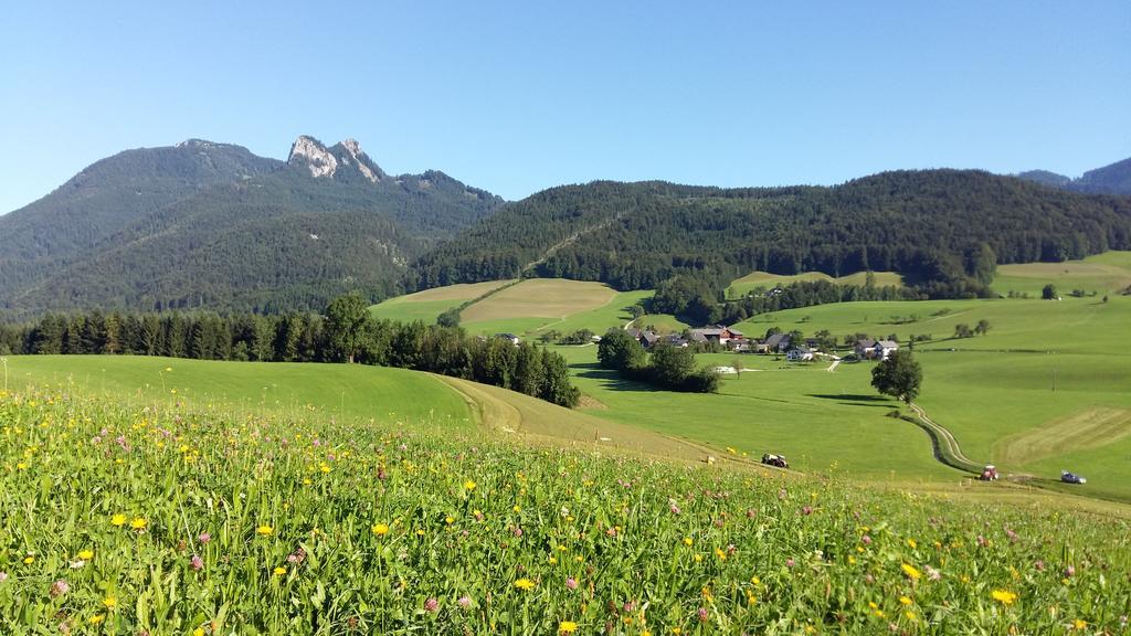 Villa Weinbachbauer - Urlaub Am Bauernhof Saint Wolfgang Exterior foto